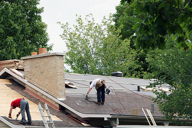 Best Roof Gutter Cleaning  in Roosevelt, UT